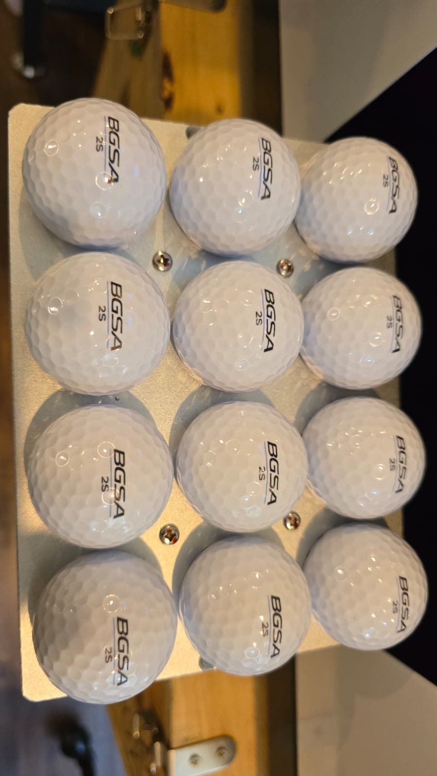 BGSA 2S Golf Balls